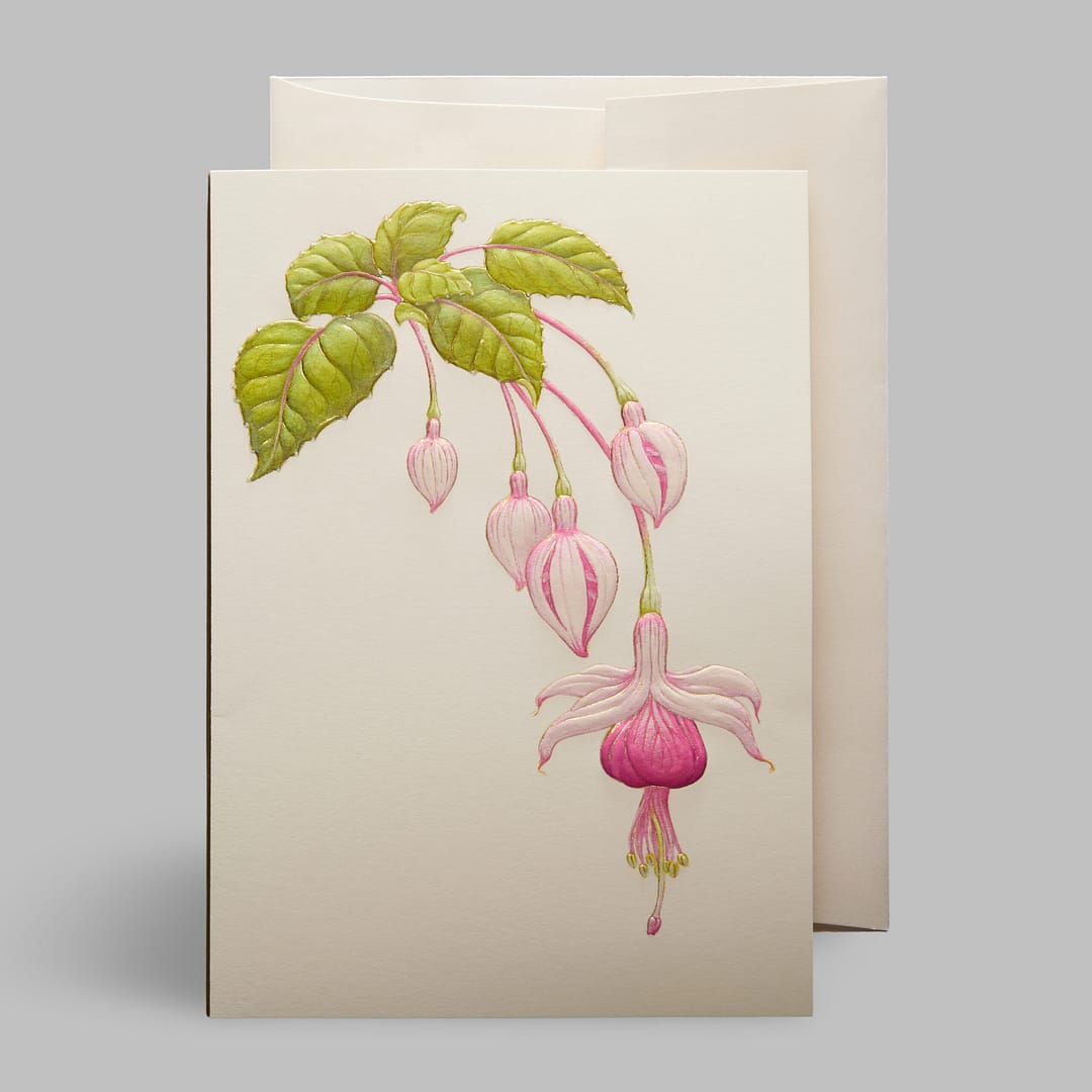 Grußkarte Hängende Blume Orchideen mit Umschlag Paula Skene, San Francisco