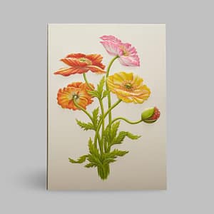 Grußkarte Feldblumen Paula Skene