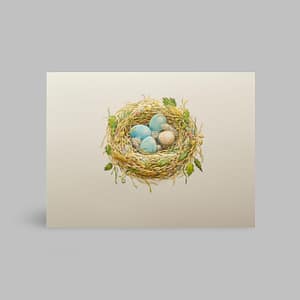 Grußkarte Vogel Nest Eier Weiß Paula Skene