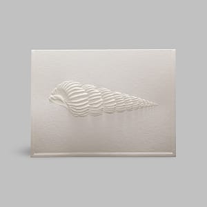 Grußkarte Geprägte Muschel Strandfund Meer Nordisch Weiß Paula Skene