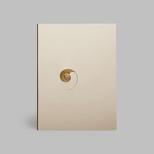 Grußkarte Goldene Schnecke Ying Yang Weiß Paula Skene