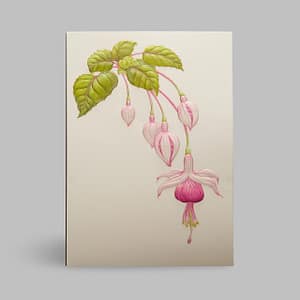 Grußkarte Hängende Blume Orchideen mit Umschlag Paula Skene, San Francisco