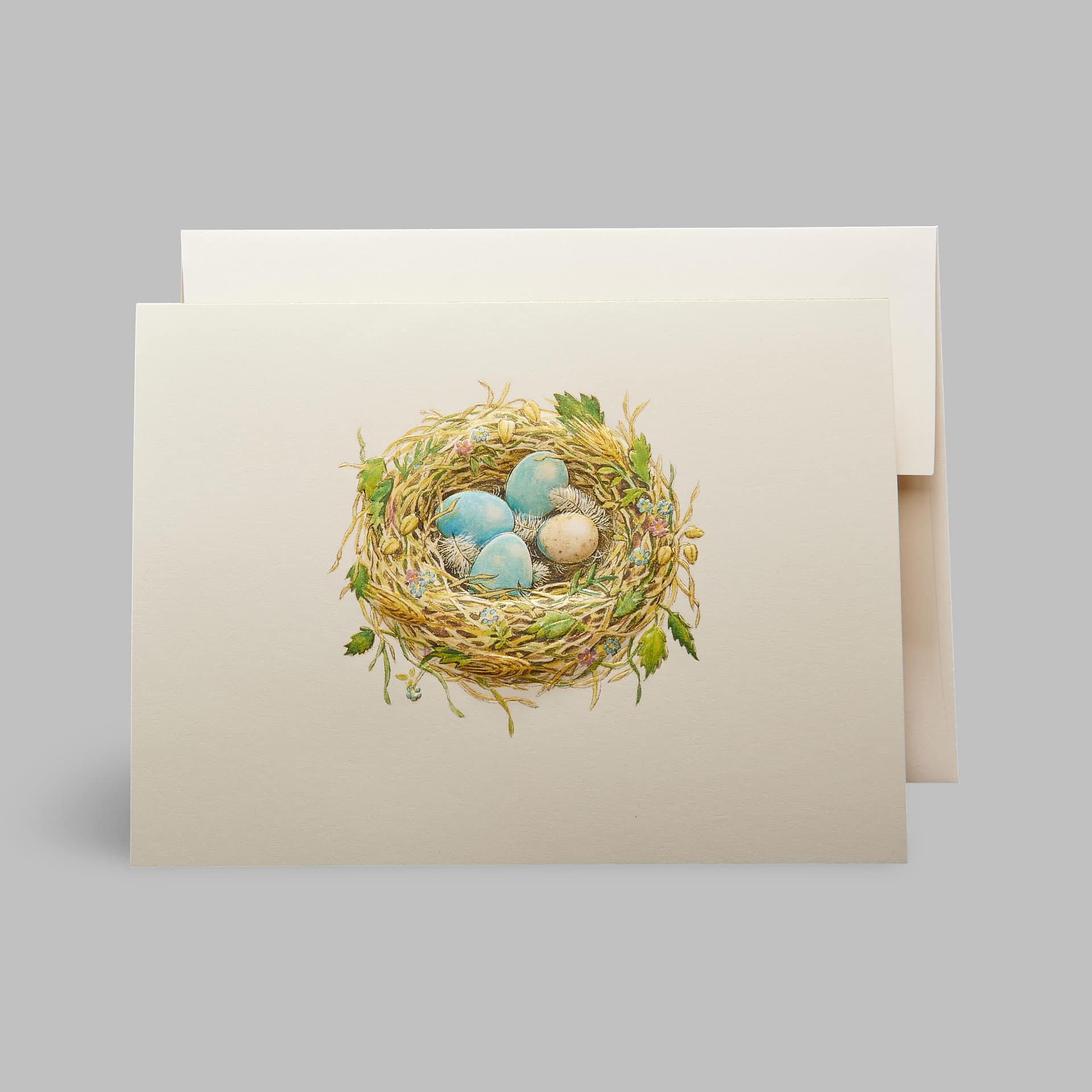 Grußkarte Vogel Nest Eier Weiß Paula Skene