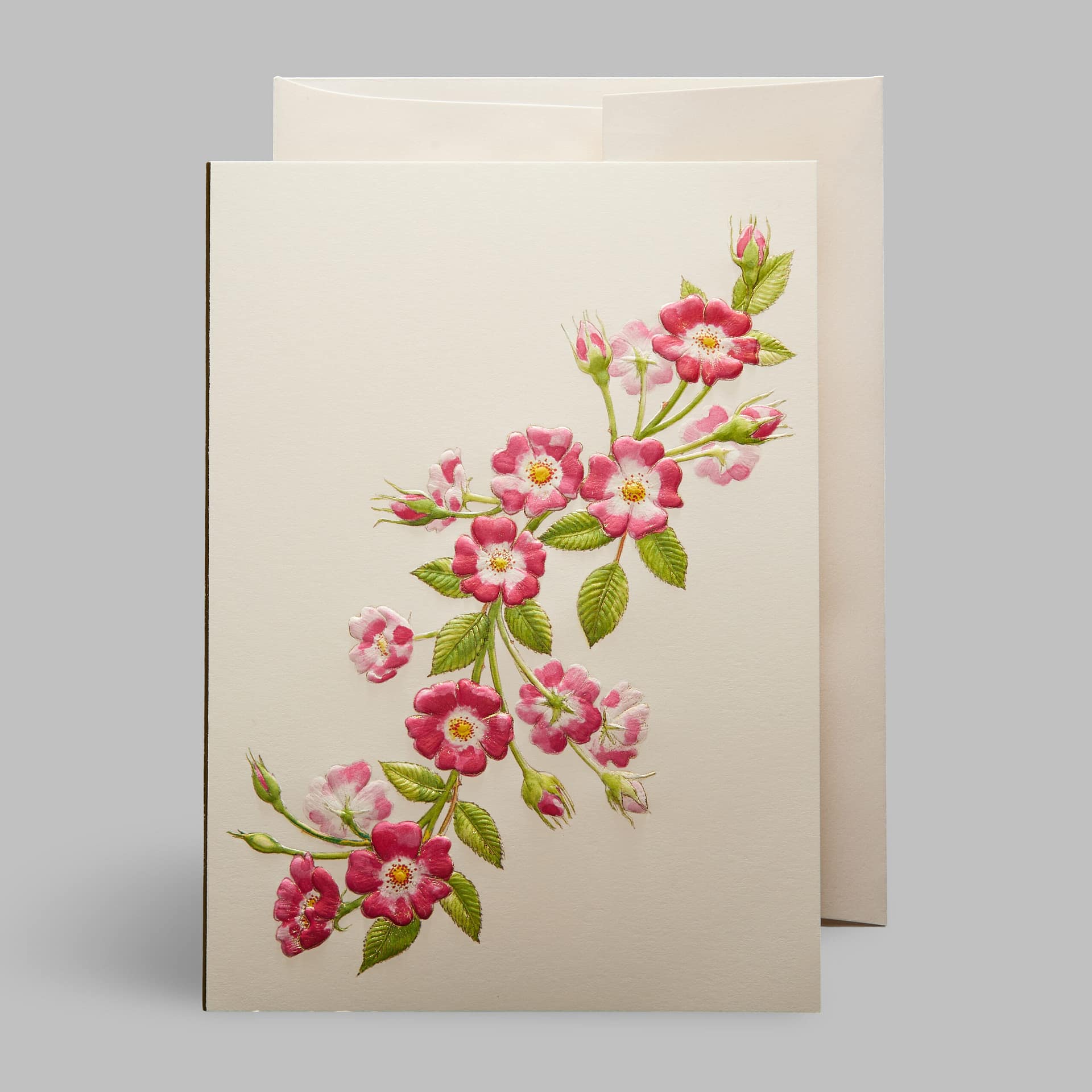 Grußkarte Wildrosen Blumen Rosa Pink Paula Skene