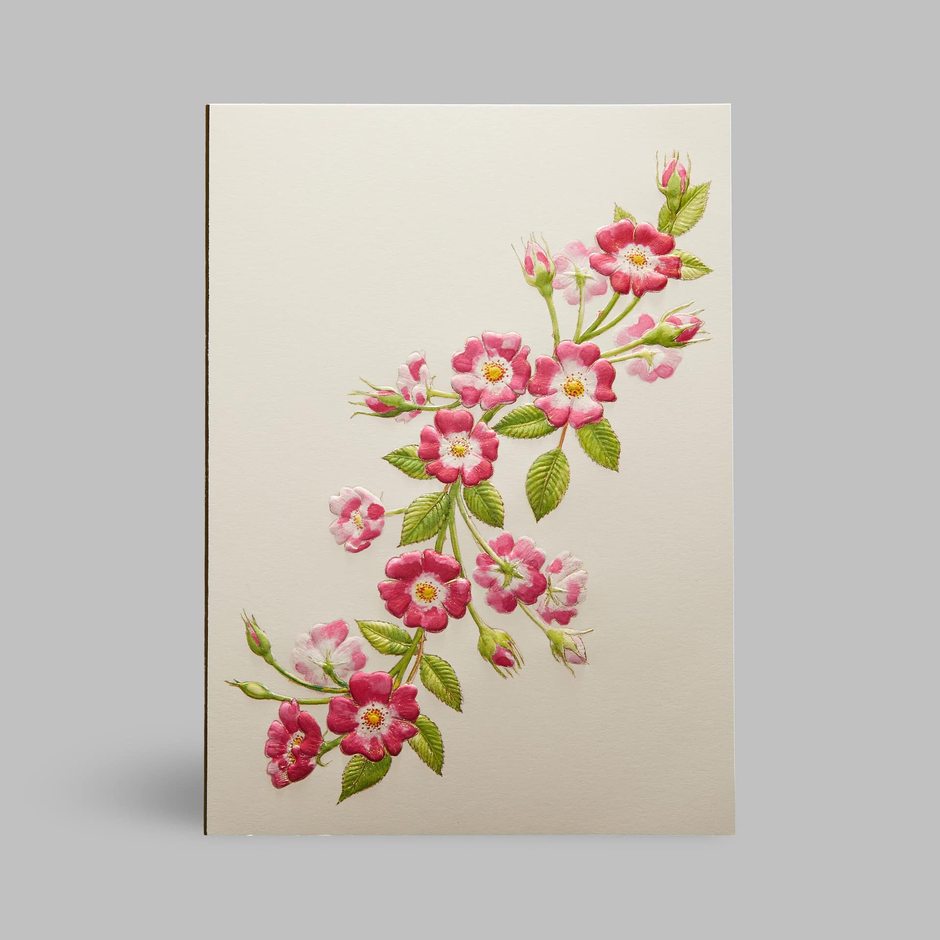 Grußkarte Blumen Rot Heckenrose Hundsrose Paula Skene